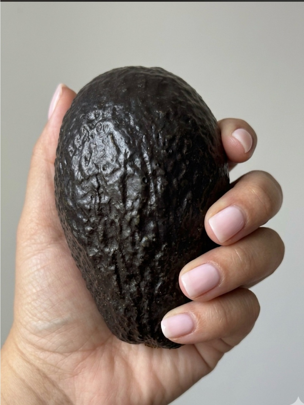 Avocado Coin Purse Made in Mexico – Cute Funny Novelty Change Pouch